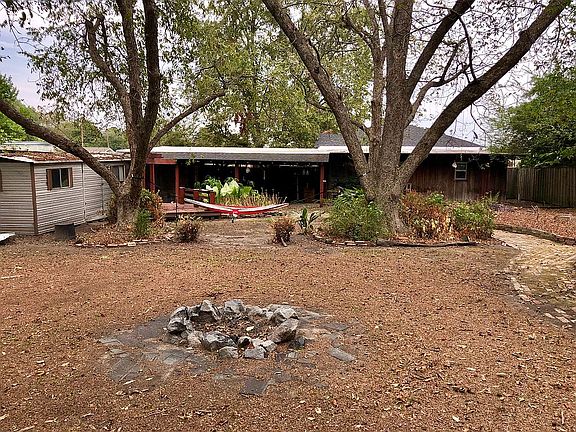 Large pecan trees