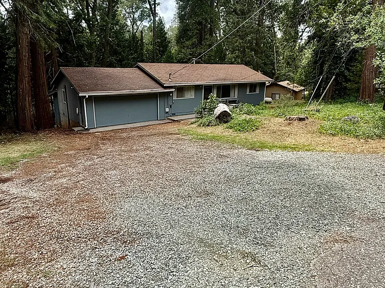 11599 Upper Pine Hill Dr — Photo 4