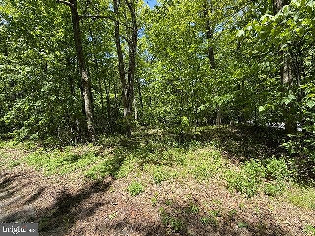 2nd image of 116 Timberman Rd