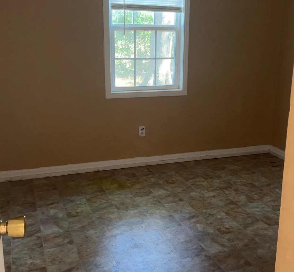 2 bed, $695 — Photo 3