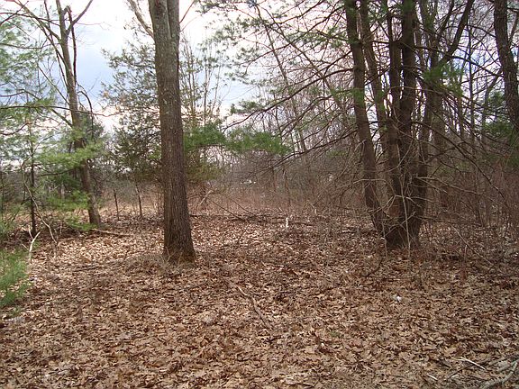 another view from back