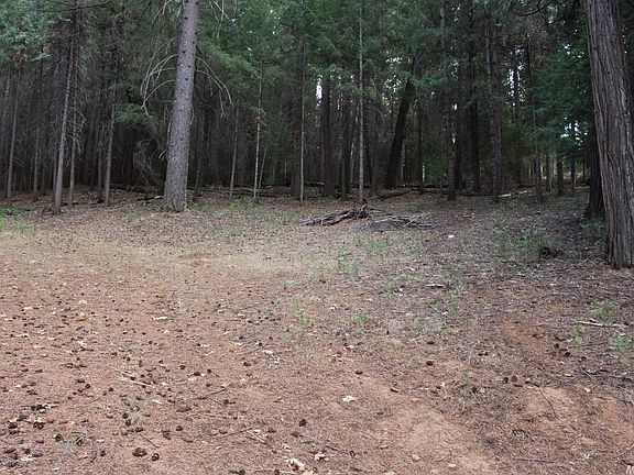 5th image of 5511 Shooting Star Rd