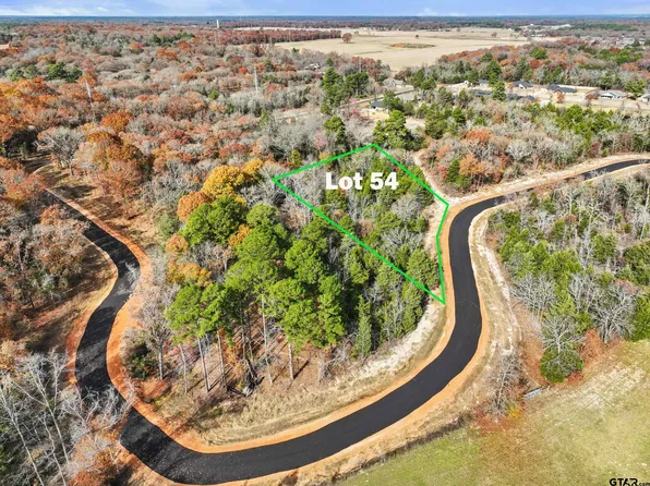 Private Road 6305 Lot 54, Mineola, TX 75773