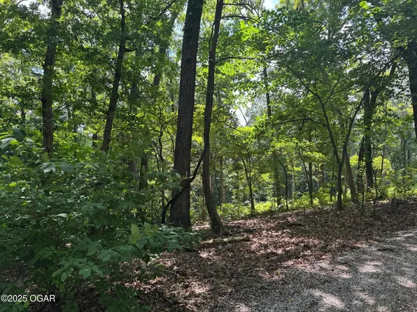 0 Twin Springs Dr, Cassville, MO 65625