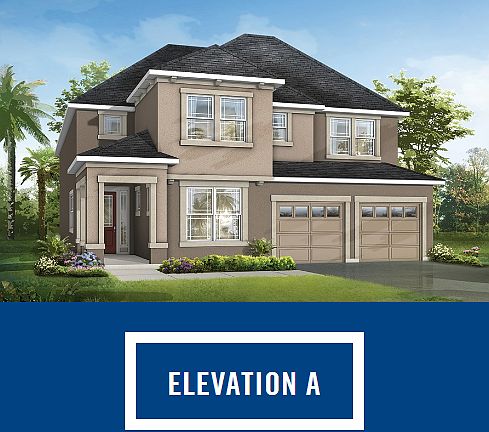 Elevation