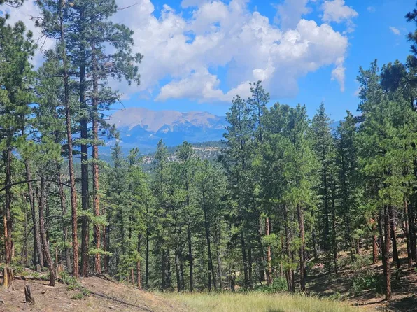 13700 Timber Valley Dr, Weston, CO 81091
