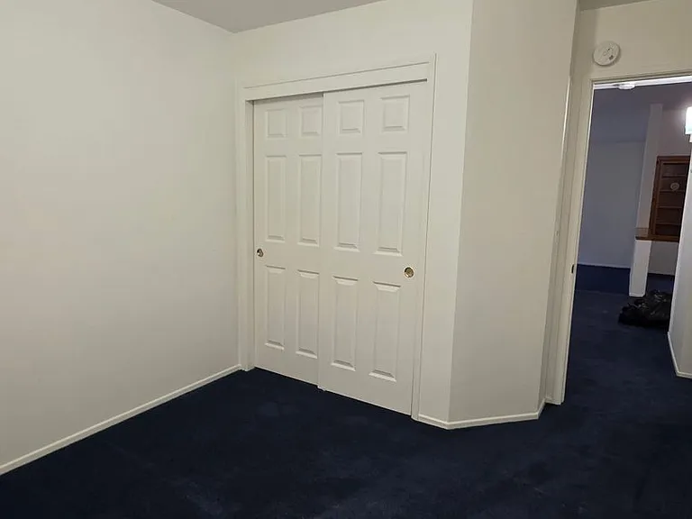 6508 Pine Borough Ct — Photo 10