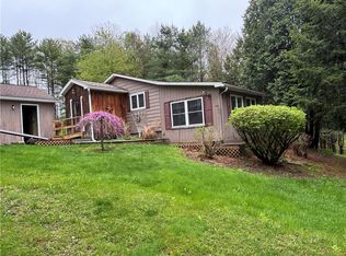 163 Nagel Hill Rd, Candor, NY 13743