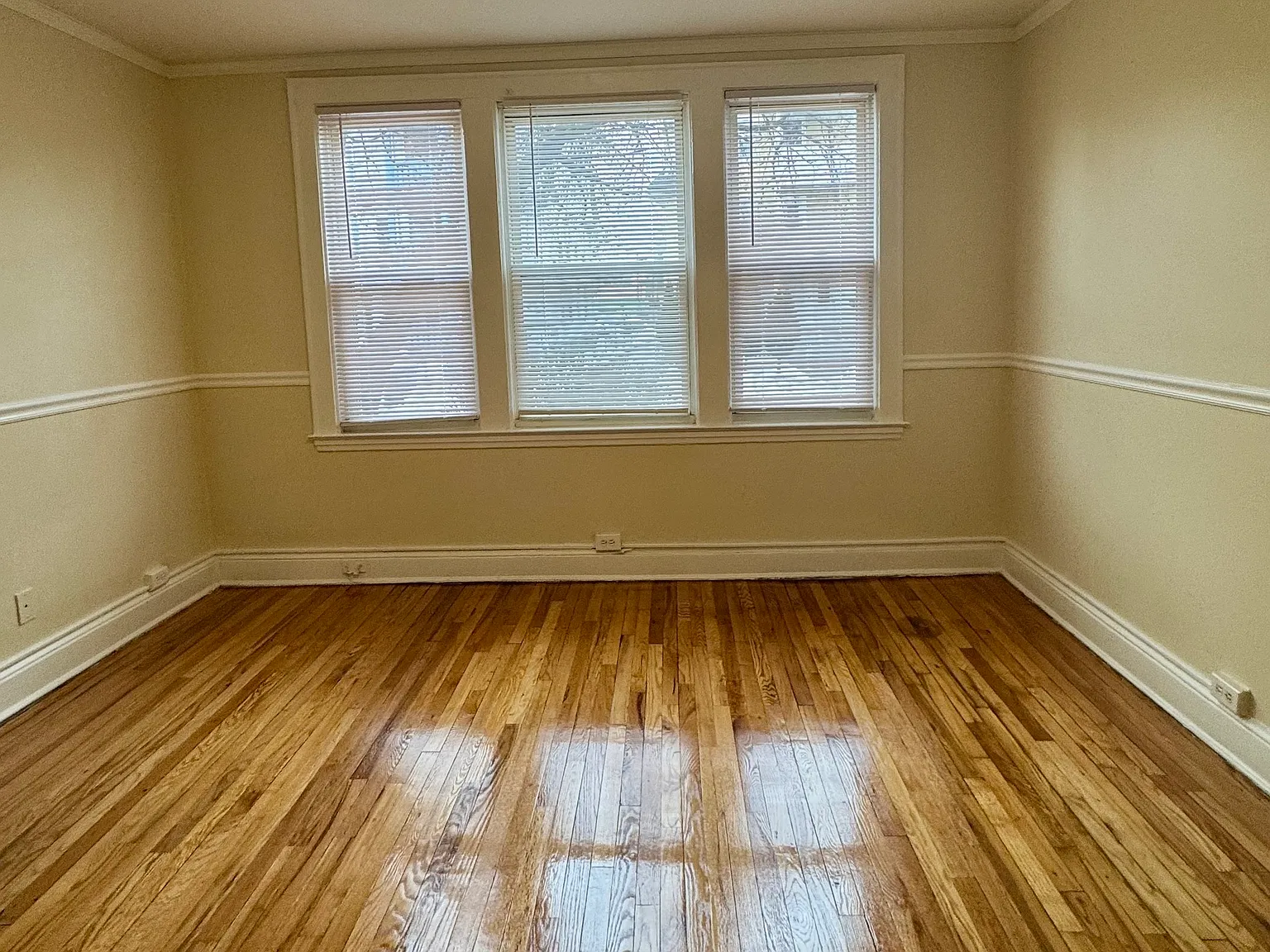 1 bed, 1.0 bath, 500 sqft, $1,250 — Photo 2