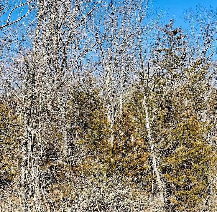 2nd image of 0 Little Bay Rd
