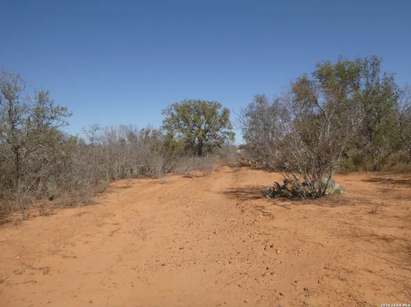 4253 E Fm 462 LOT TRACT, Moore, TX 78057