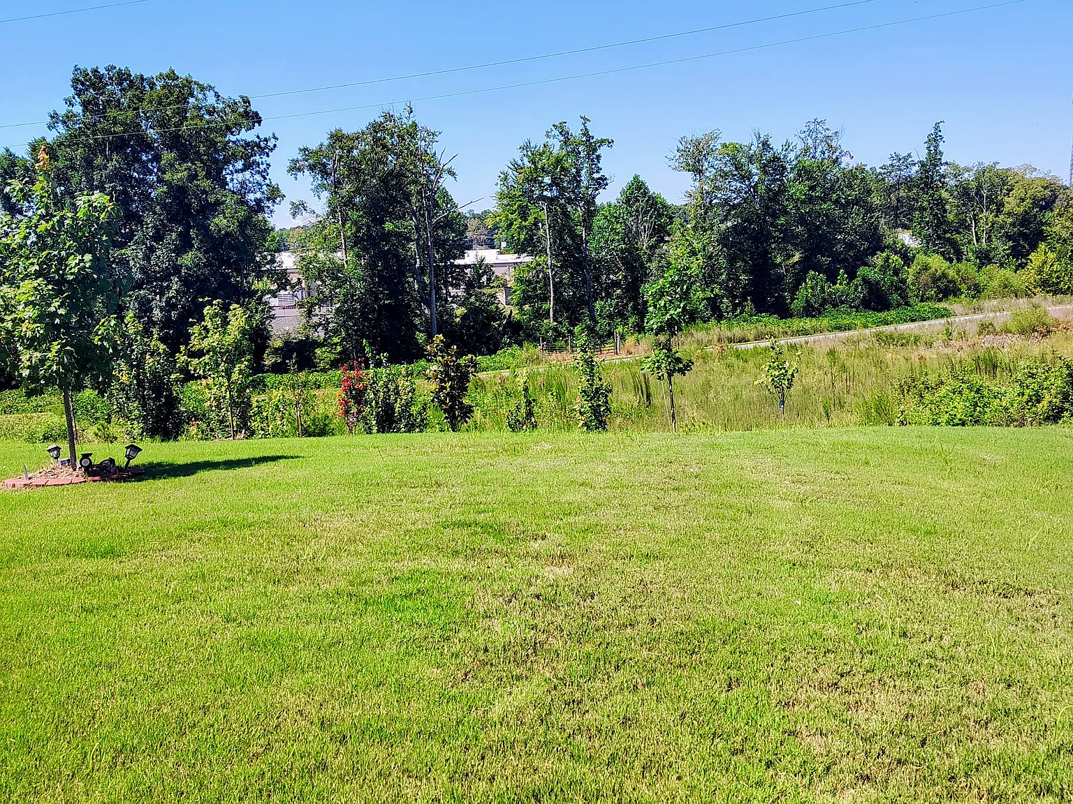 4 bed, 2.5 bath, 1680 sqft, $2,100 — Photo 4