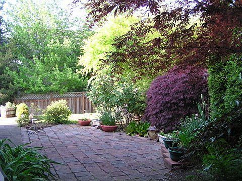 Cool Patio hot summer