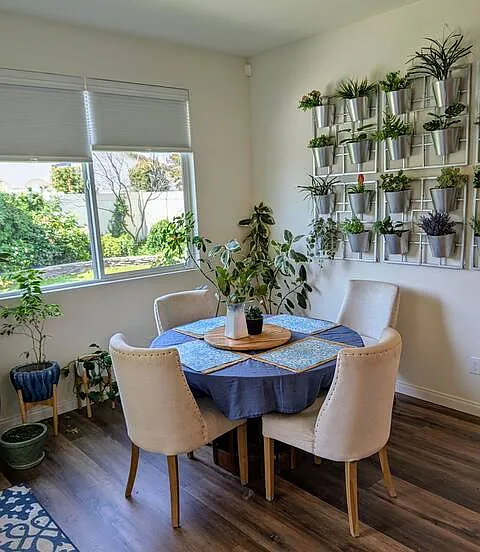 Blue Feather Cir — Photo 9