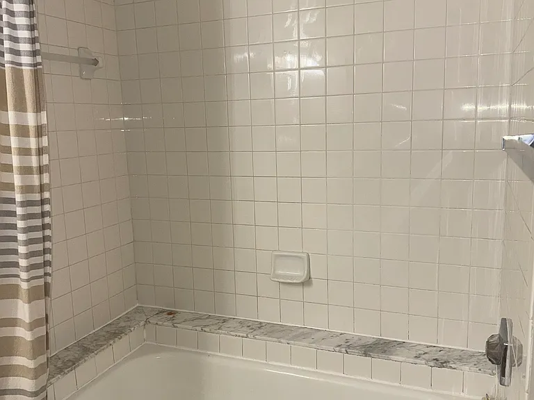 1000 W Horatio St #101 — Photo 11