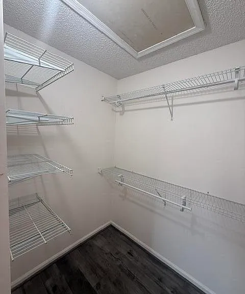 3537 Deer Creek Palladian Cir — Photo 33