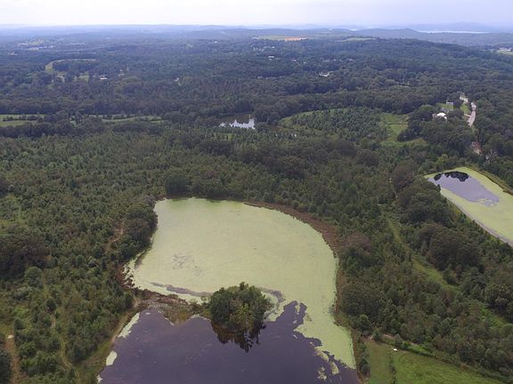 2nd image of 10008 Birchwood Pike