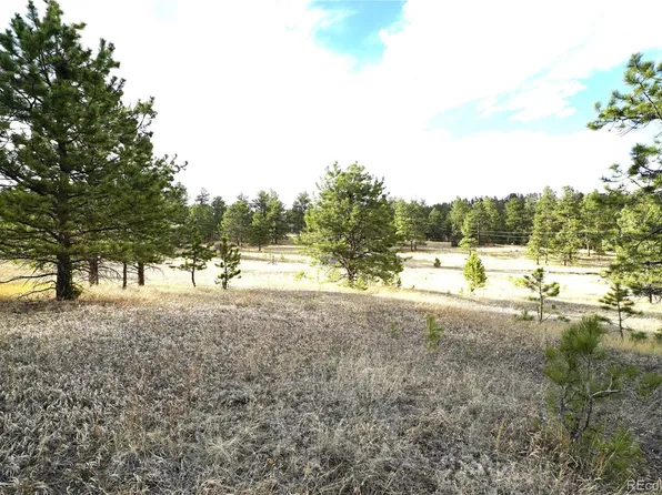 174 Chickadee Drive, Bailey, CO 80421