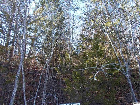3rd image of 204 Forest Court Ln