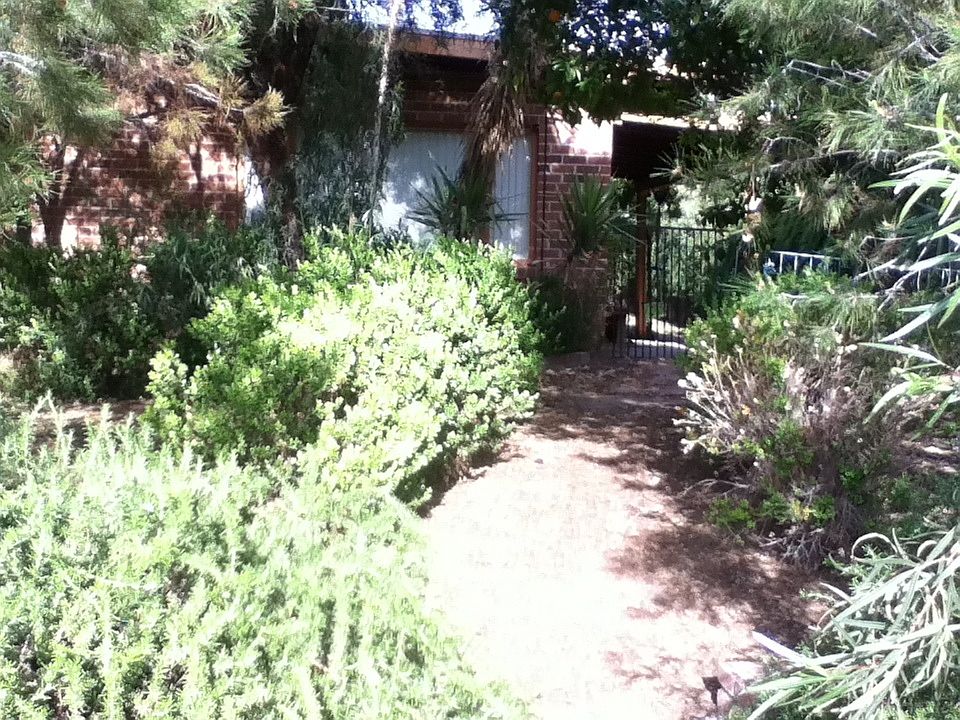 brick path to front door