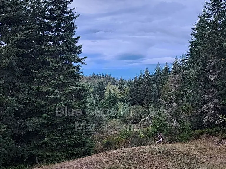 1965 Baker View Dr — Photo 37
