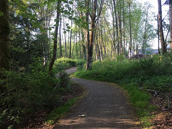 Walk in the park