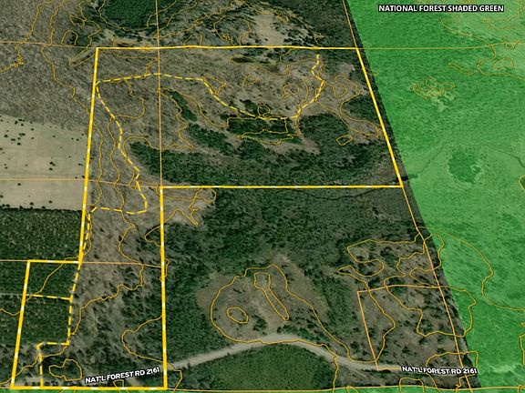 5th image of Morgan Lake Rd