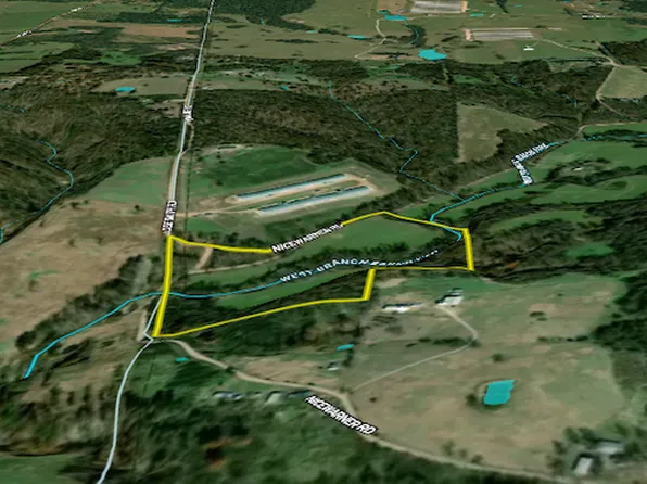 Nice Warner Rd, Lincoln, AR 72744
