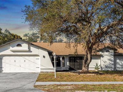 13159 Linden Dr, Spring Hill, FL, 34609