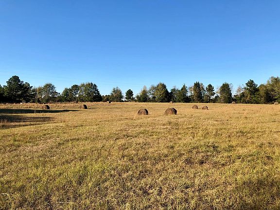 Land for horses or hay field