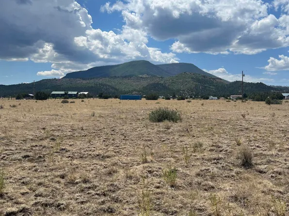 LOT 127 N County Road 2004, Nutrioso, AZ 85932