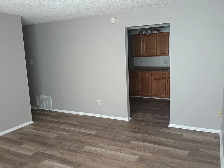 Living Room to Kitchen and Hallway