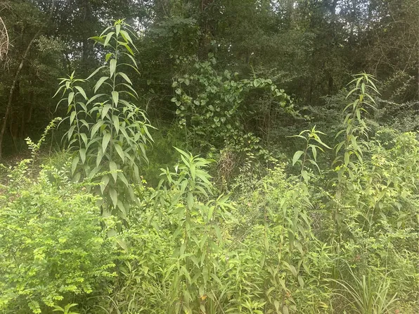 0 W Forest Rd Lot 1-5, Daleville, AL 36322