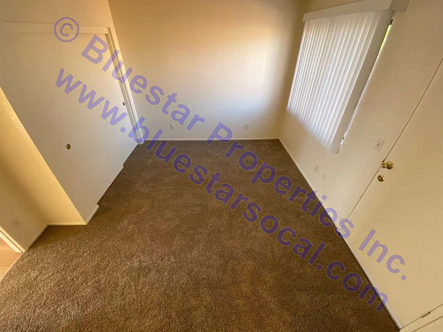 16303Enr — Photo 4