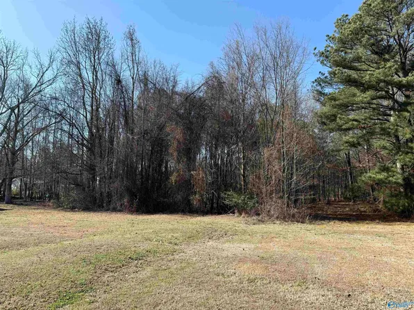 478 Mose Chapel Rd, Madison, AL 35758