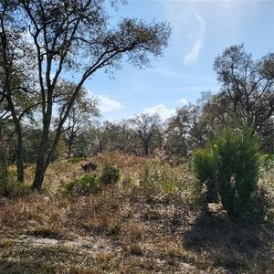 11106 Seattle Wren Ave #1, Brooksville, FL, 34614