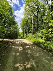 Miller Road, Windsor, NH, 03244