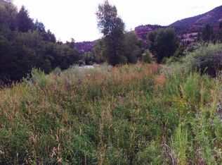 Tbd Stock Road B1, Placerville, CO 81430