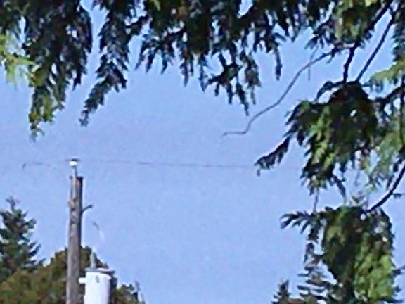 3rd image of 1416 W 11th St