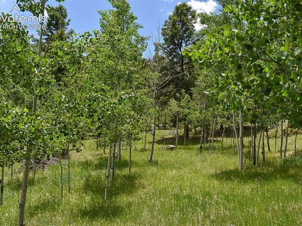 281 Deer Ln, Guffey, CO 80820