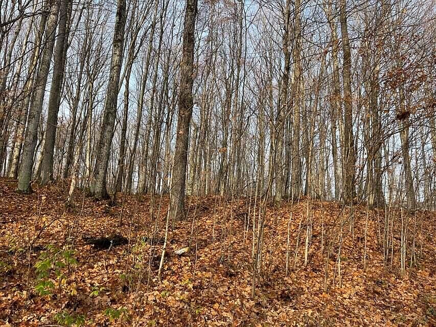 2nd image of 19 Hlywa Dr