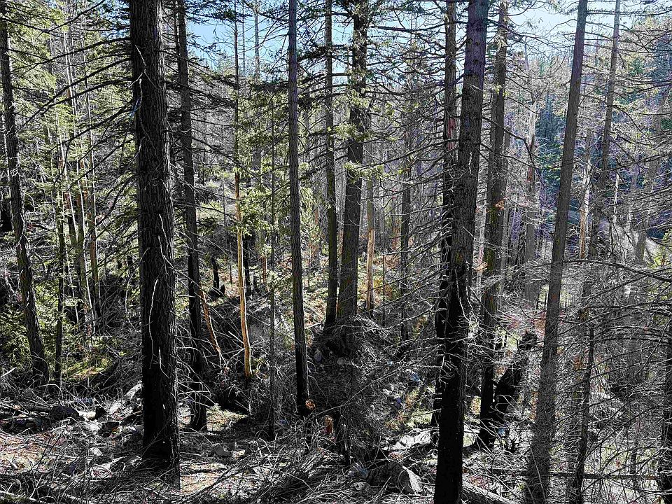 1st image of 00 Gold Run Rd