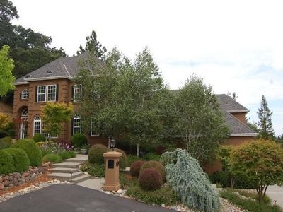 20 Oak Crest Ln, Alamo, CA, 94507