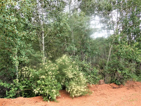 368 Buckhorn Rd, Cripple Creek, CO 80813