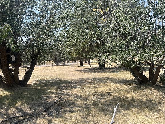 5th image of 137 Lion Ln