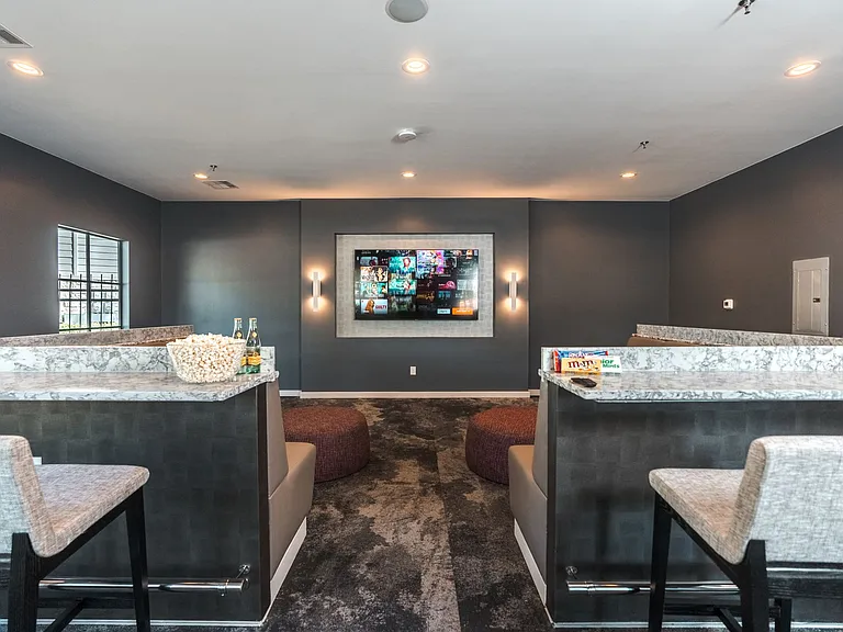 Theater room