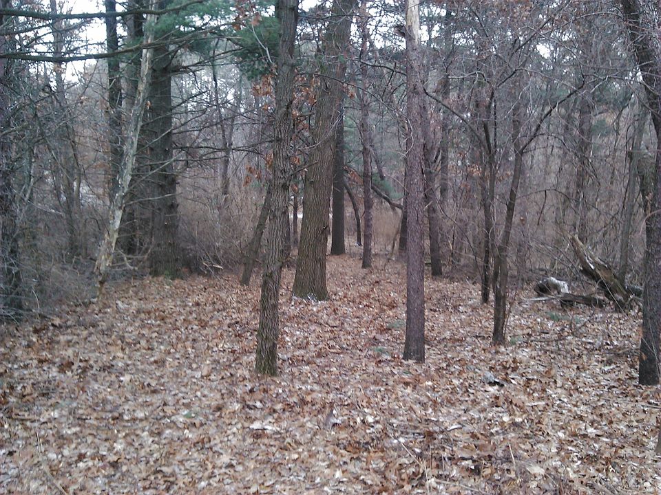 1st image of Lot 11 Brown Deer Drive
