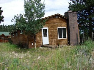 2547 County Road 43, Bailey, CO 80421