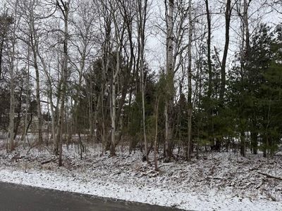 Vacant Maplewood Ave LOT 34 & 35, Reed City, MI, 49677