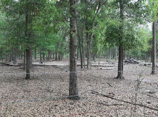 Tbd 200th St., OBrien, FL 32071